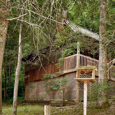 Parkside Party #1676 Villa Gatlinburg Luaran gambar